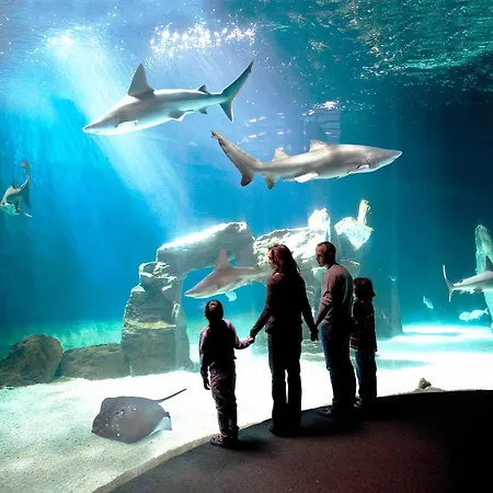 Garibaldi - Red Lights District (adults Only) Appartement *