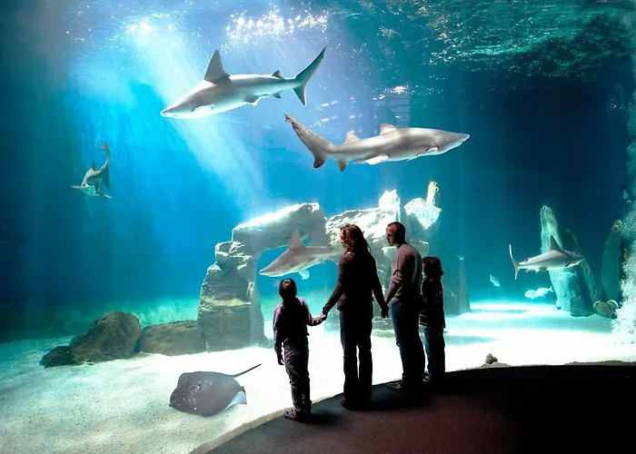 Garibaldi - Red Lights District (adults Only) Apartmán *